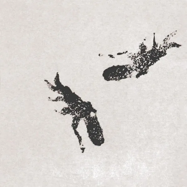 Cover artwork for Aquarium