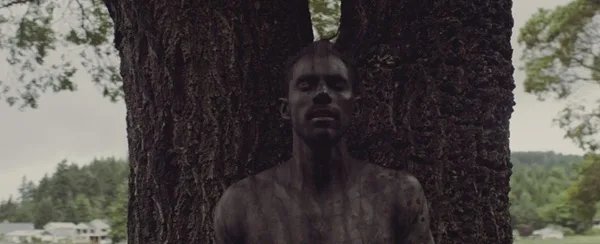 Cover artwork for The Giving Tree