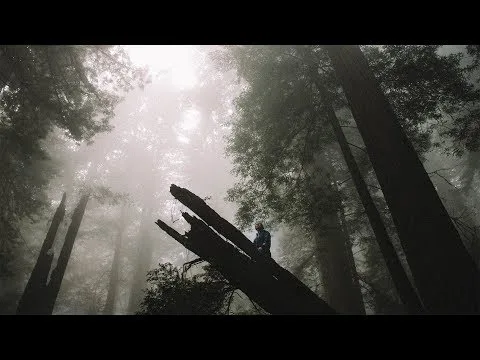 Video thumbnail for Hold Your Head Up
