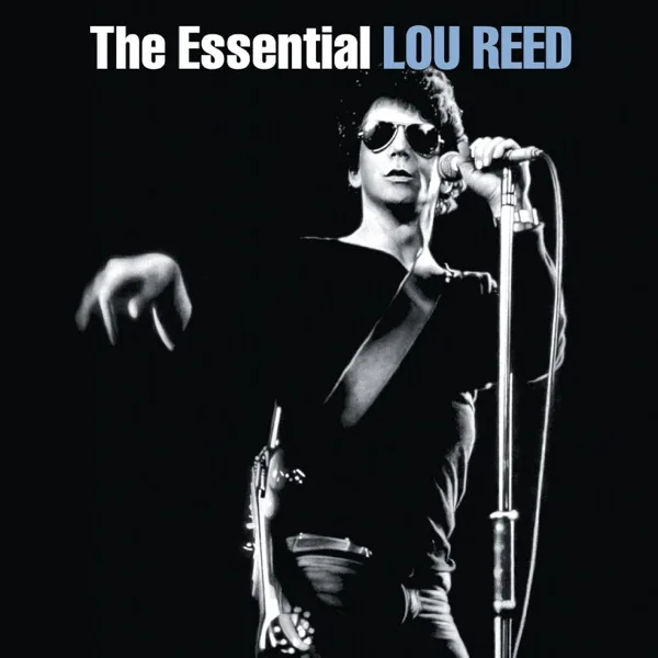 Cover artwork for Perfect Day