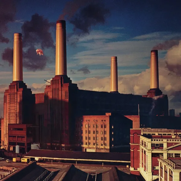 Cover artwork for Dogs